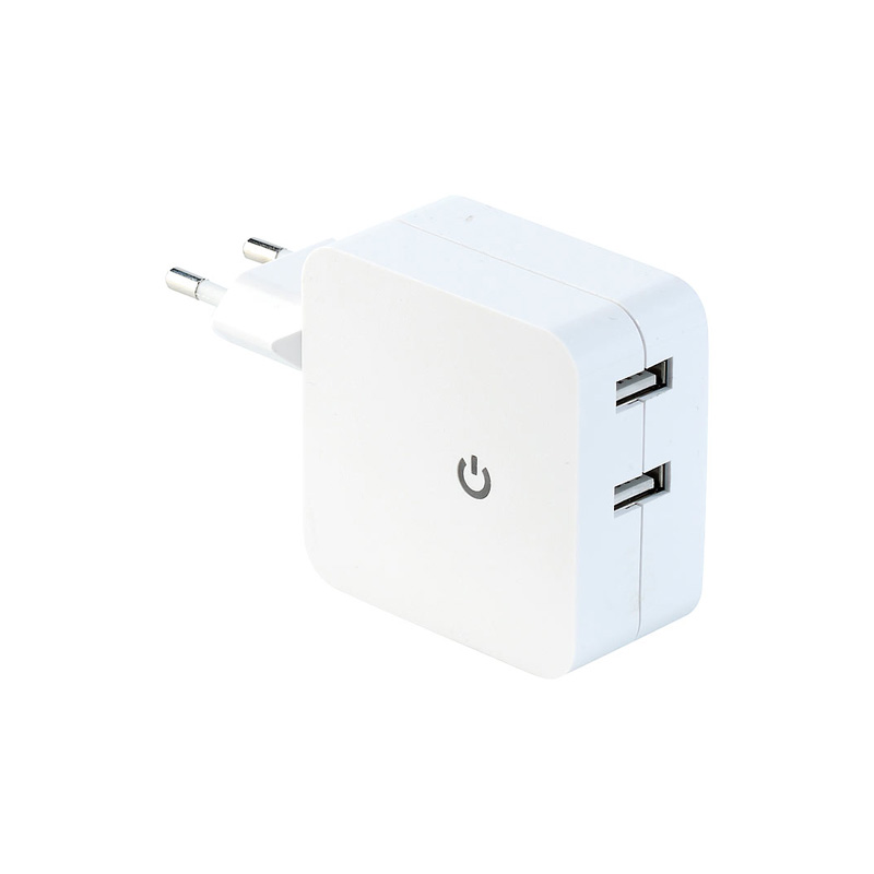 Reislader 4.2 A met 2 usb-aansluitingen