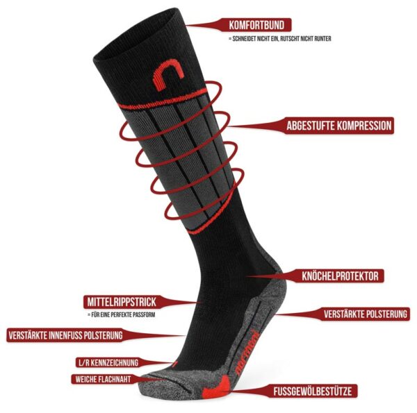 » merino info web