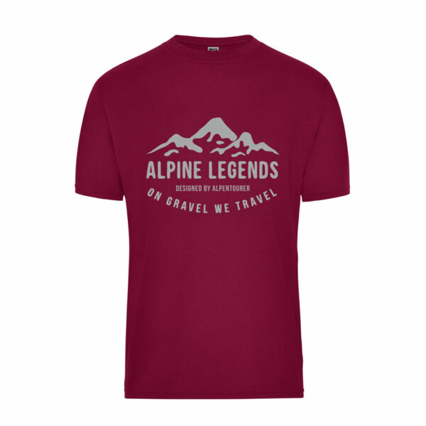 ALPINE LEGENDS heren-shirt JN1808 GRAVEL